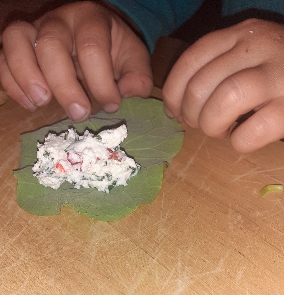 537262215_1141135551401557_7021387966998309859_n