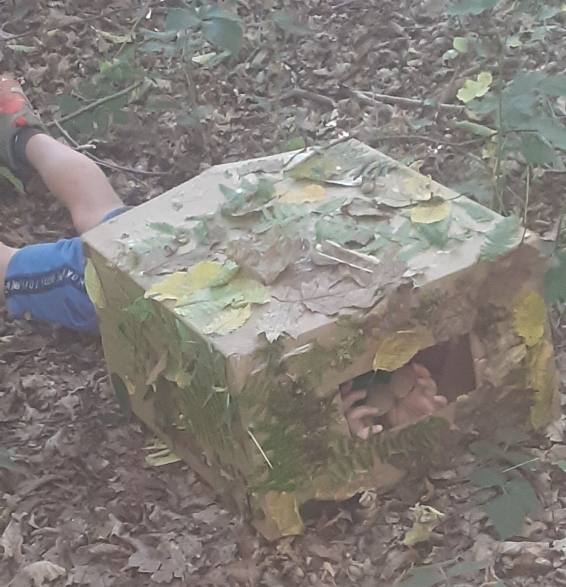 537321215_1141135818068197_3739646081477861982_n