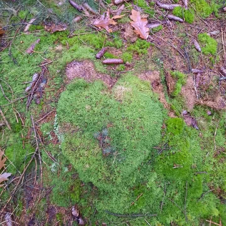 FB_IMG_1641579574618