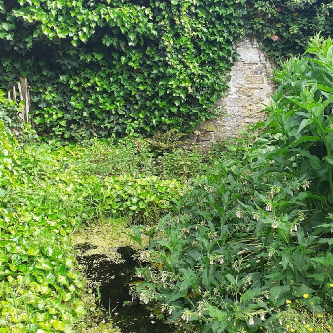 FB_IMG_1758615407510