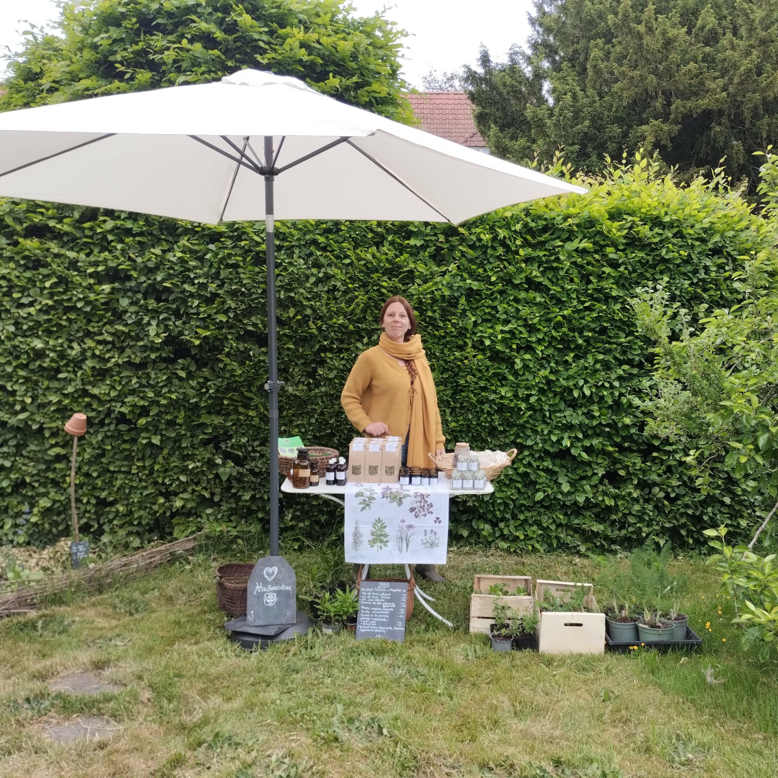 IMG_20250518_092135874